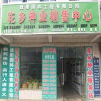 做好苗木批發(fā)，源頭與供應(yīng)鏈管理是關(guān)鍵