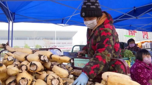 滯銷農(nóng)副產(chǎn)品直銷進(jìn)城 新鮮便宜還放心，市民農(nóng)戶雙贏新探索